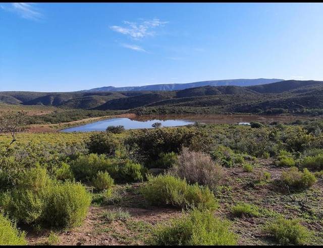 FARM FOR SALE IN OUDTSHOORN RURAL